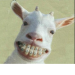 lulis ak