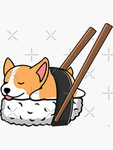 SUSHIDAWGZS_STUDIOS