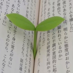 ᰔᩚ