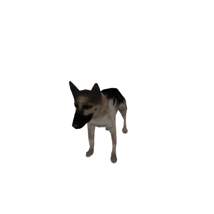 dog