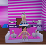 The Swan Squad