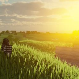 The Grass (Nature UPD)
