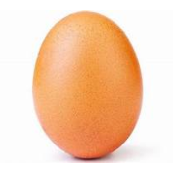 Egg