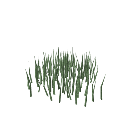 Grass