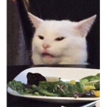 Super Epic Cool Cat Club