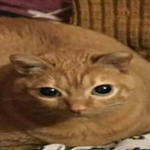 Leni73’s raid group