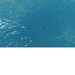 TropicalMasterpiece Studios