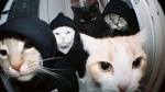 Anime RP [NEW GROUP]