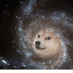 DOGE CLAN OR ARMY