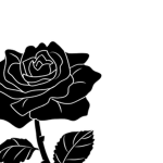 BlackRoses Studio