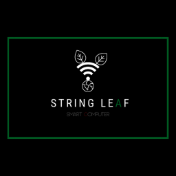String Leaf - Smart Computer
