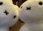 -Tigers-