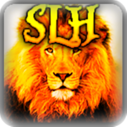 Super Lion Hotel
