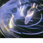 大作