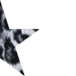 ⋆ ˚ ⭐︎ ｡ ⋆