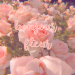 bonjour fleur