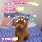 laineys apparel