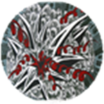 Kingjj100's Group