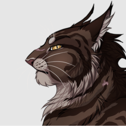 🐯
