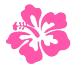 The Hibiscus girls