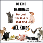 Be Kind To All Animals