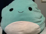 #Squishmallow group!
