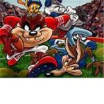 sc goons football team