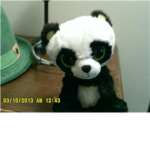 PANDA LOVERS!!!!!!