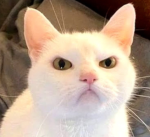 Hi hello and how do you do
