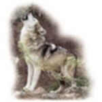 Silverwolf's Elites
