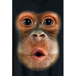 Adorers of monkeys
