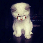 Tm Beieza <: