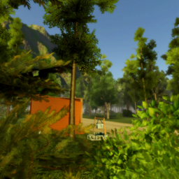 Morning Forest (Beta)