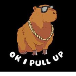 Capybara Universe Enterprises
