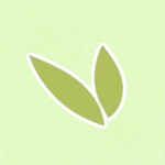 BambooAirways