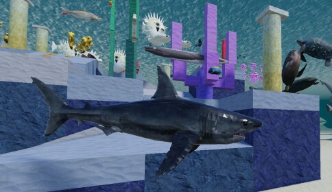 Fish swimming: Aquatic adventures (2 YEARS)