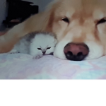 Zoe and Ano
