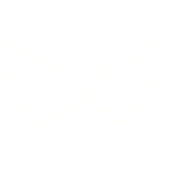 Small Glowing Angel Wings