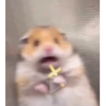 OOF HI FRIENDS