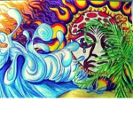 sublime fans