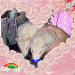 - * . ' Ｍ Ｉ Ｃ Ｅ Ｇ Ｕ Ｔ Ｚ ' . * -