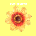 ⋆Sunflowers⋆