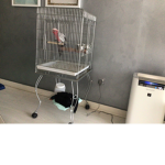 Zainq8123