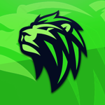 Igneous Studios