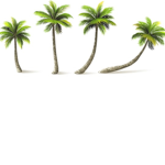 Palm club