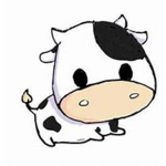 Cow Squad <3