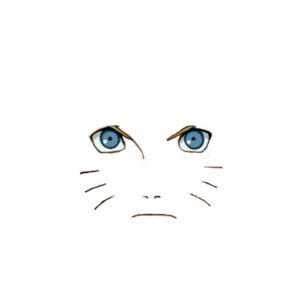 Naruto Shippuden Face Roblox decal