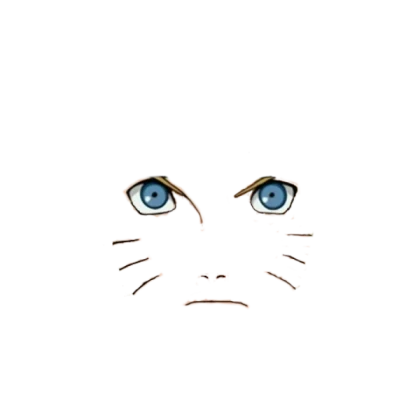 Naruto Shippuden Face