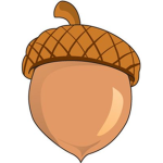 acorn kids