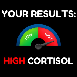 📊 Cortisol Test